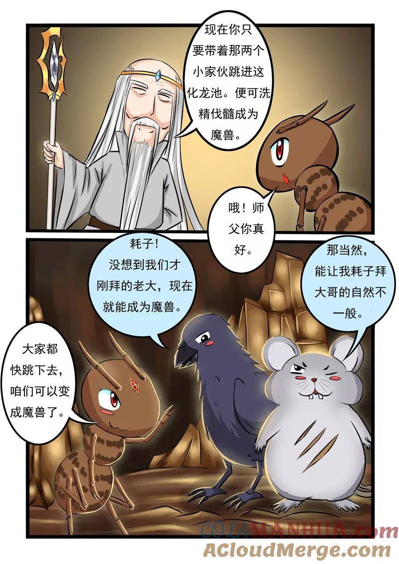 8.jpg