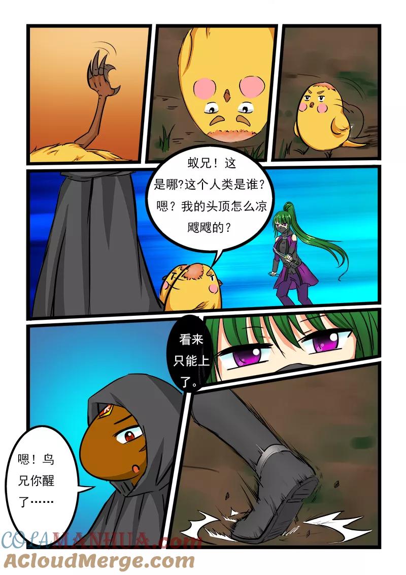 4.jpg