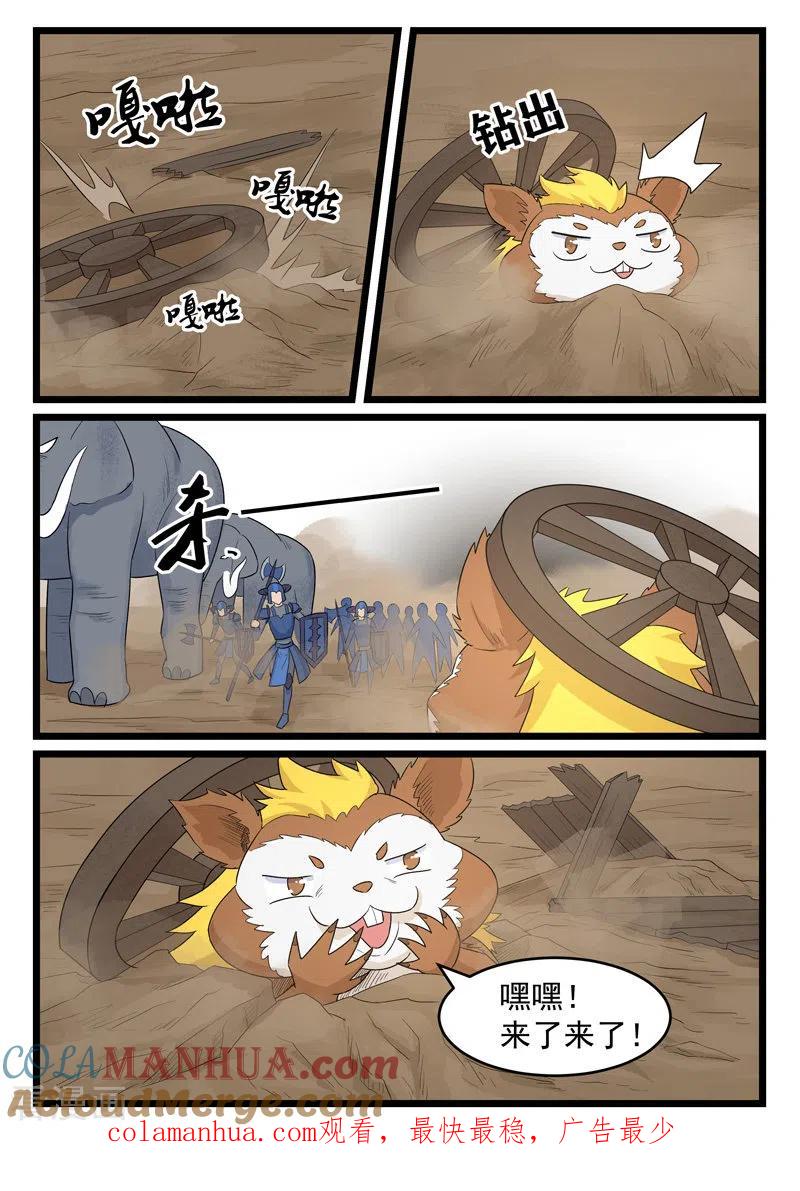 11.jpg