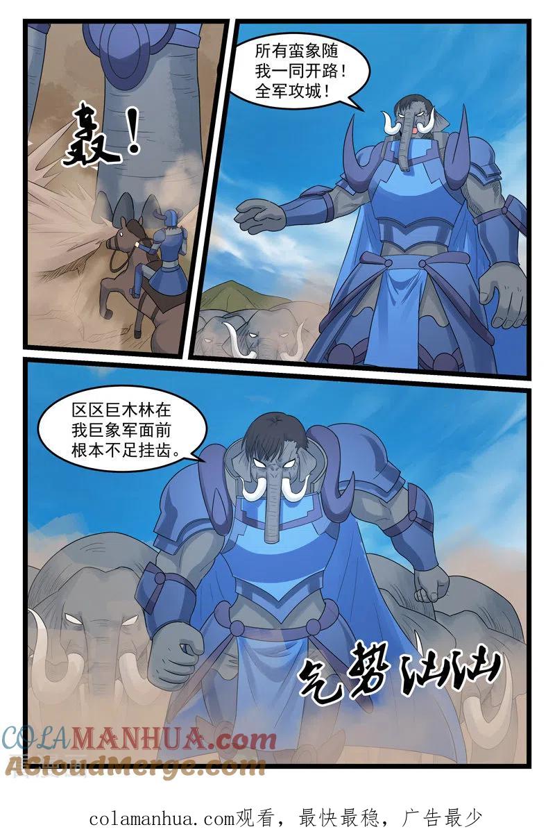 11.jpg