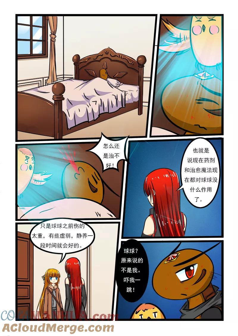 5.jpg