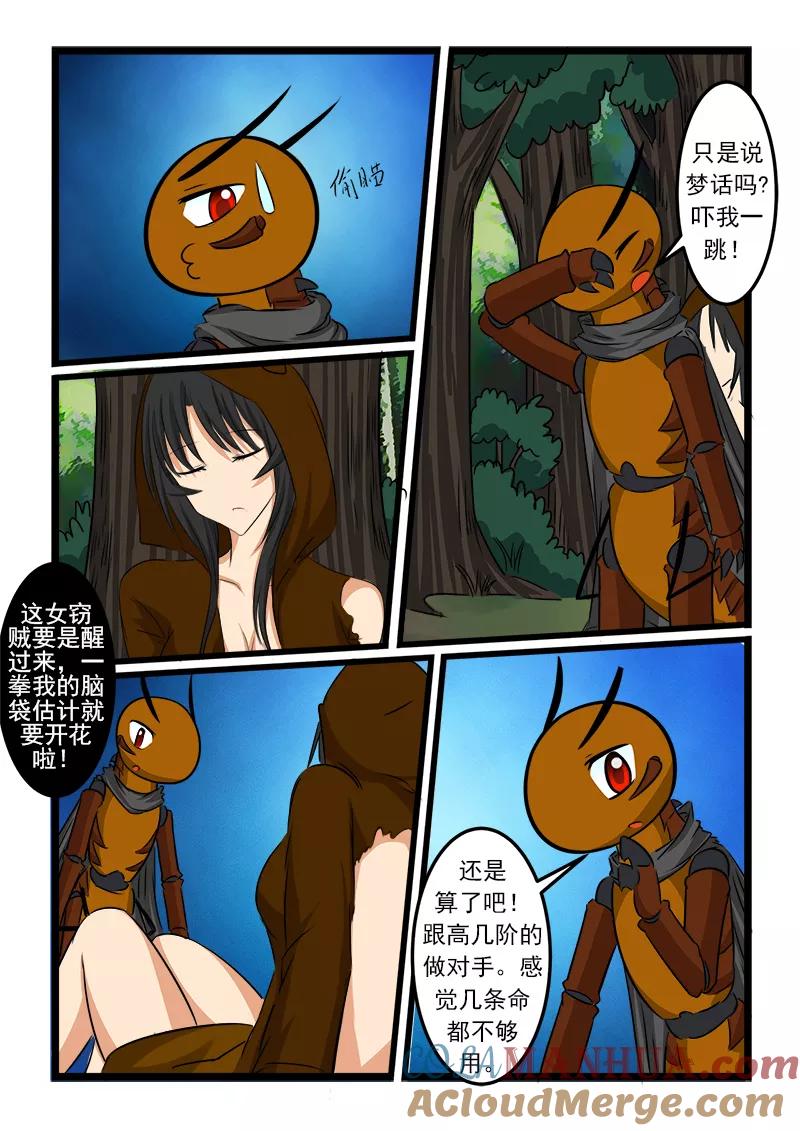 5.jpg