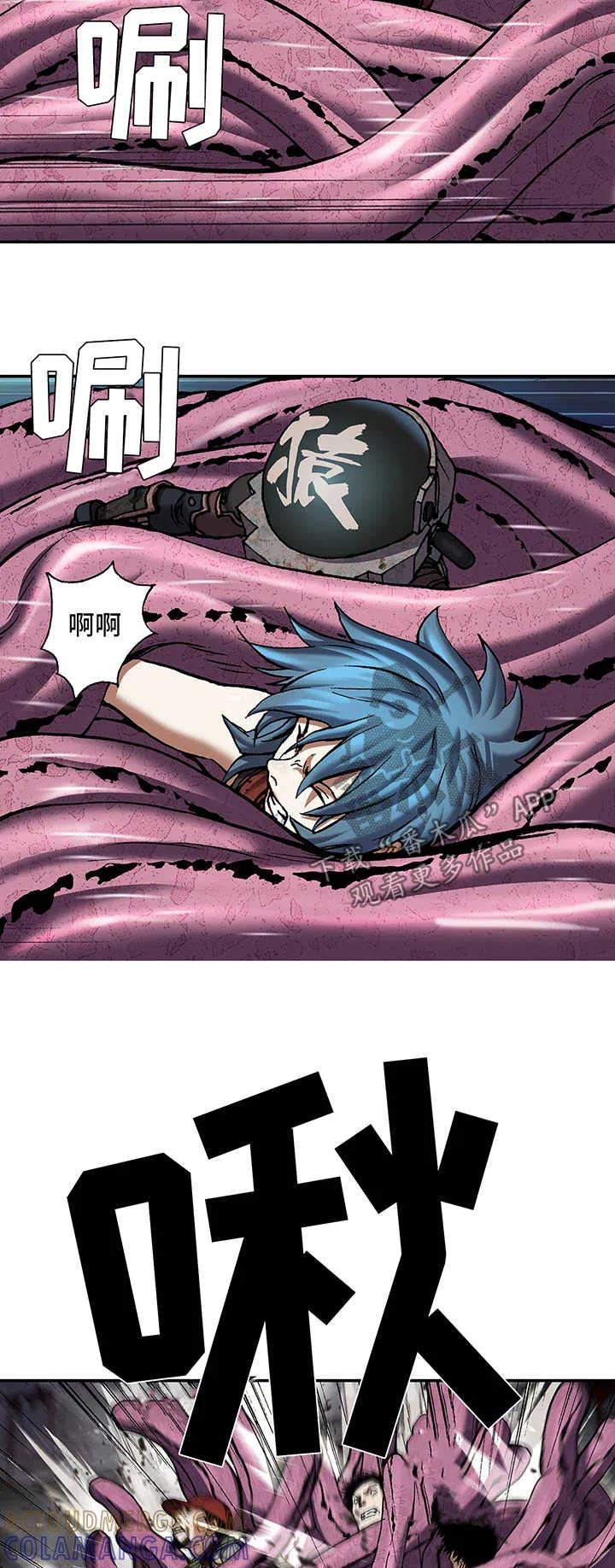 13.jpg
