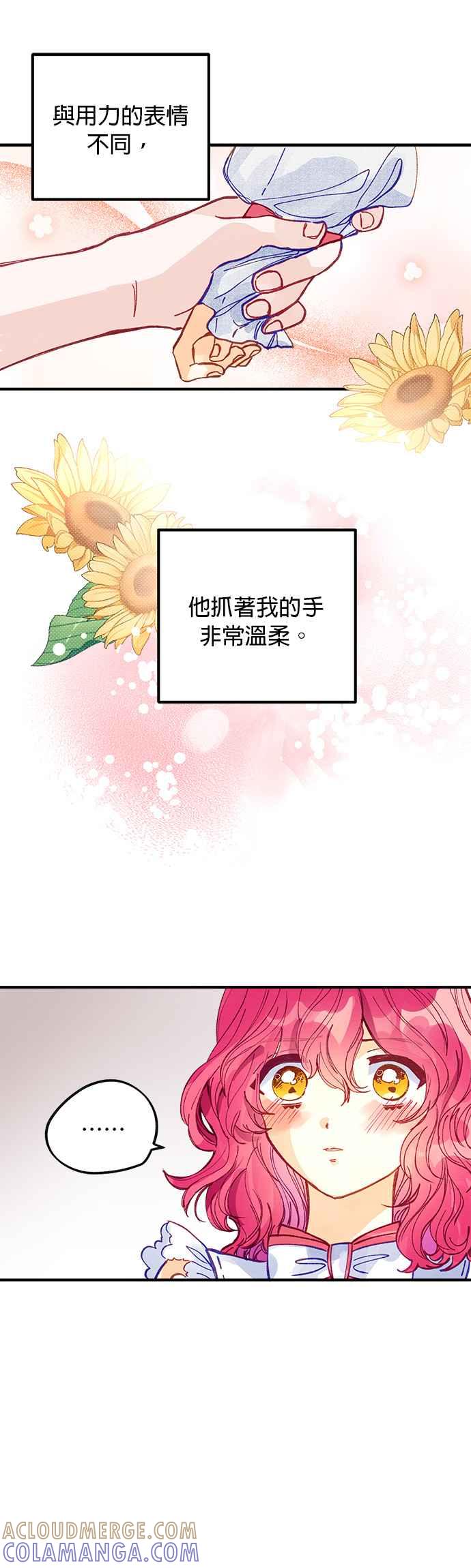 《温柔公爵的祕密》第48话 第19页