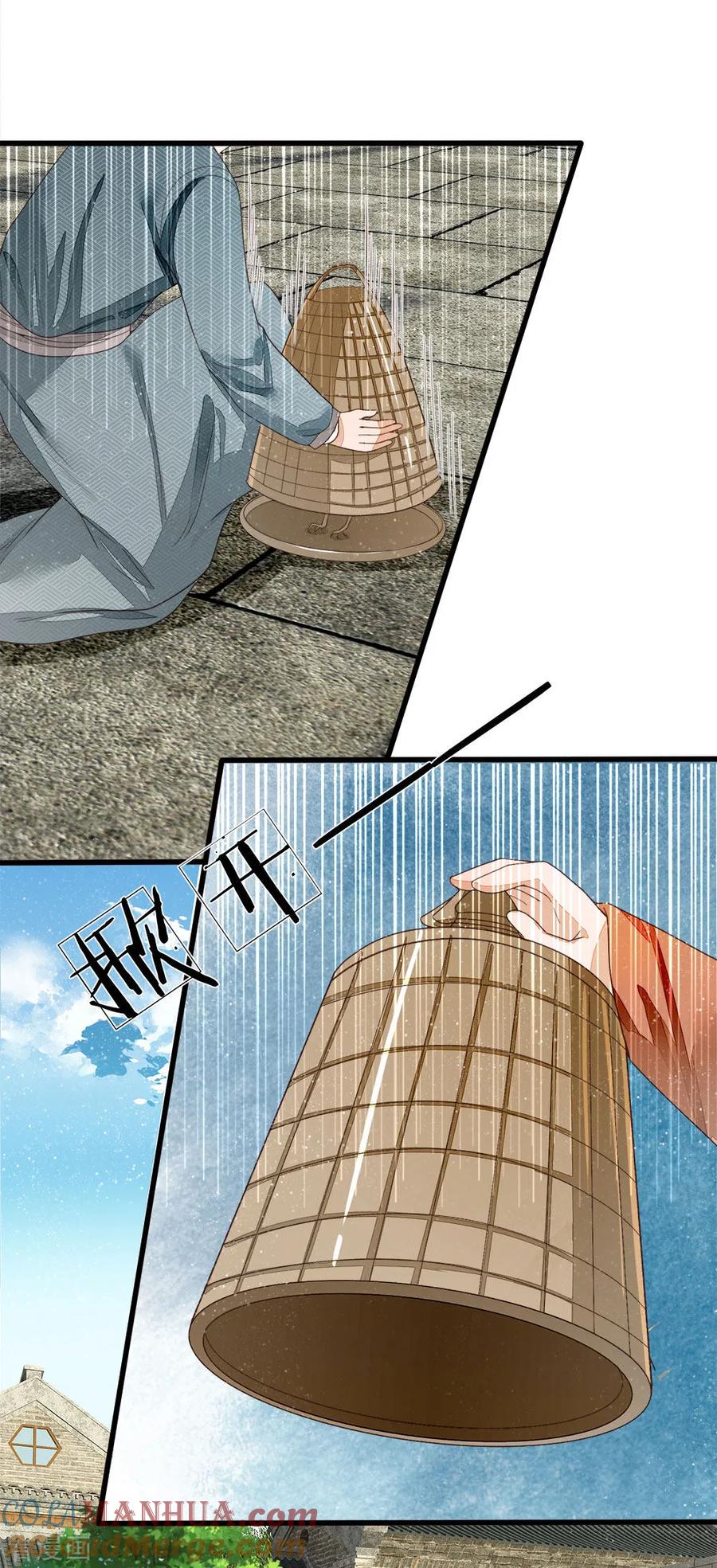 《史上第一纨绔》第88话 徐沐肉鸡VS职业斗鸡 第3页