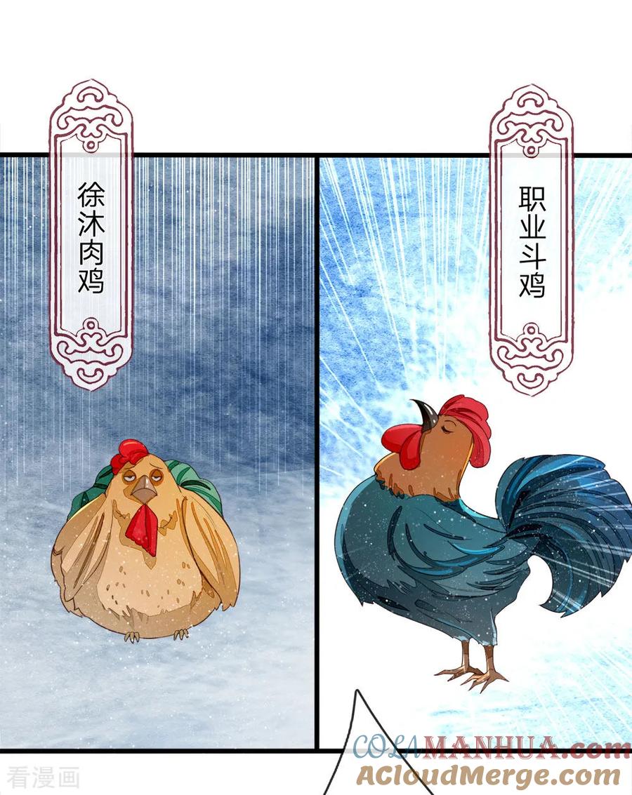 《史上第一纨绔》第88话 徐沐肉鸡VS职业斗鸡 第5页
