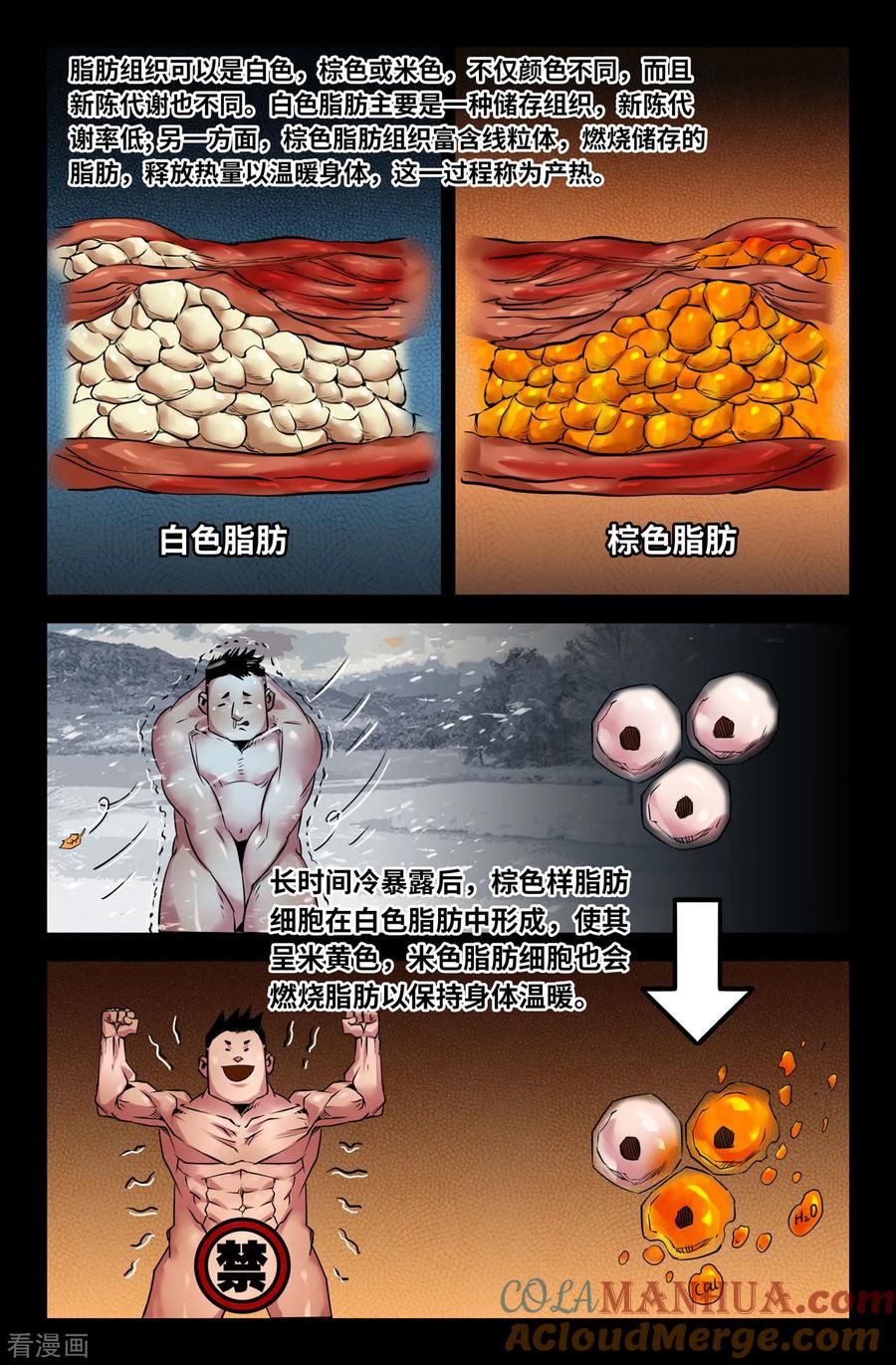 《史上最强》125 一百二十五 第4页