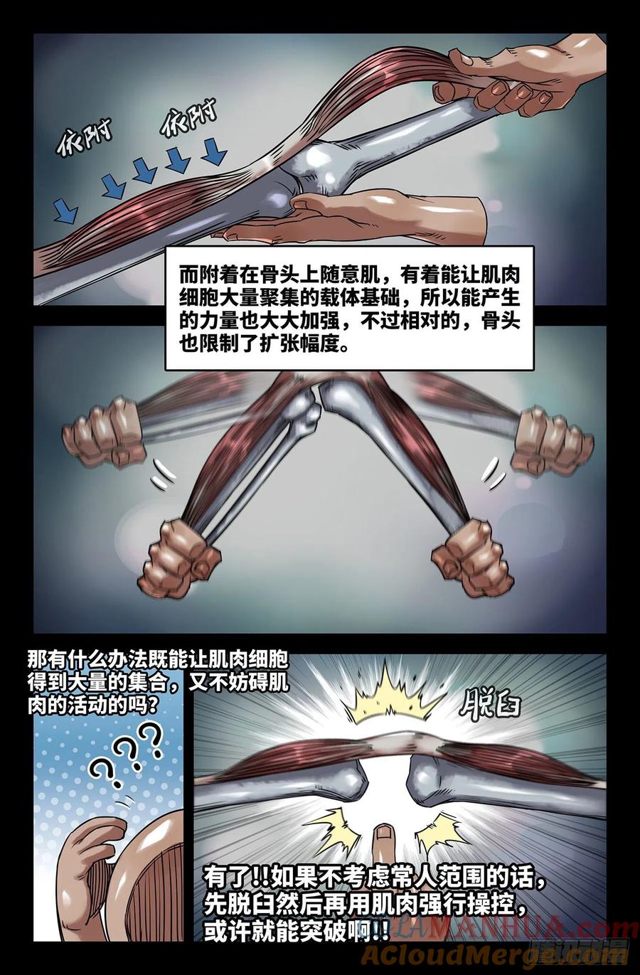 《史上最强》200 肌肉骨头 第7页
