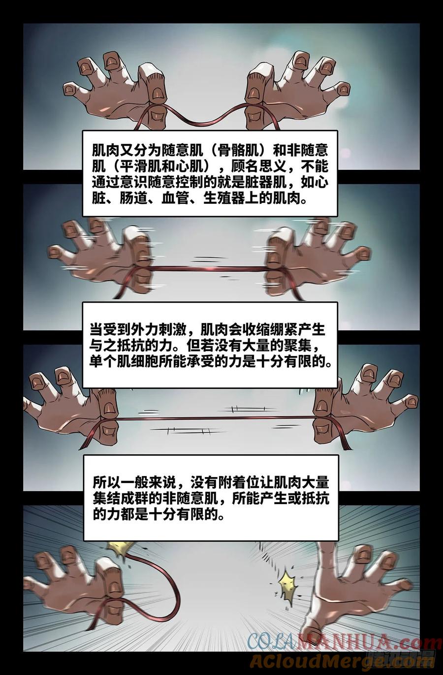 《史上最强》200 肌肉骨头 第6页