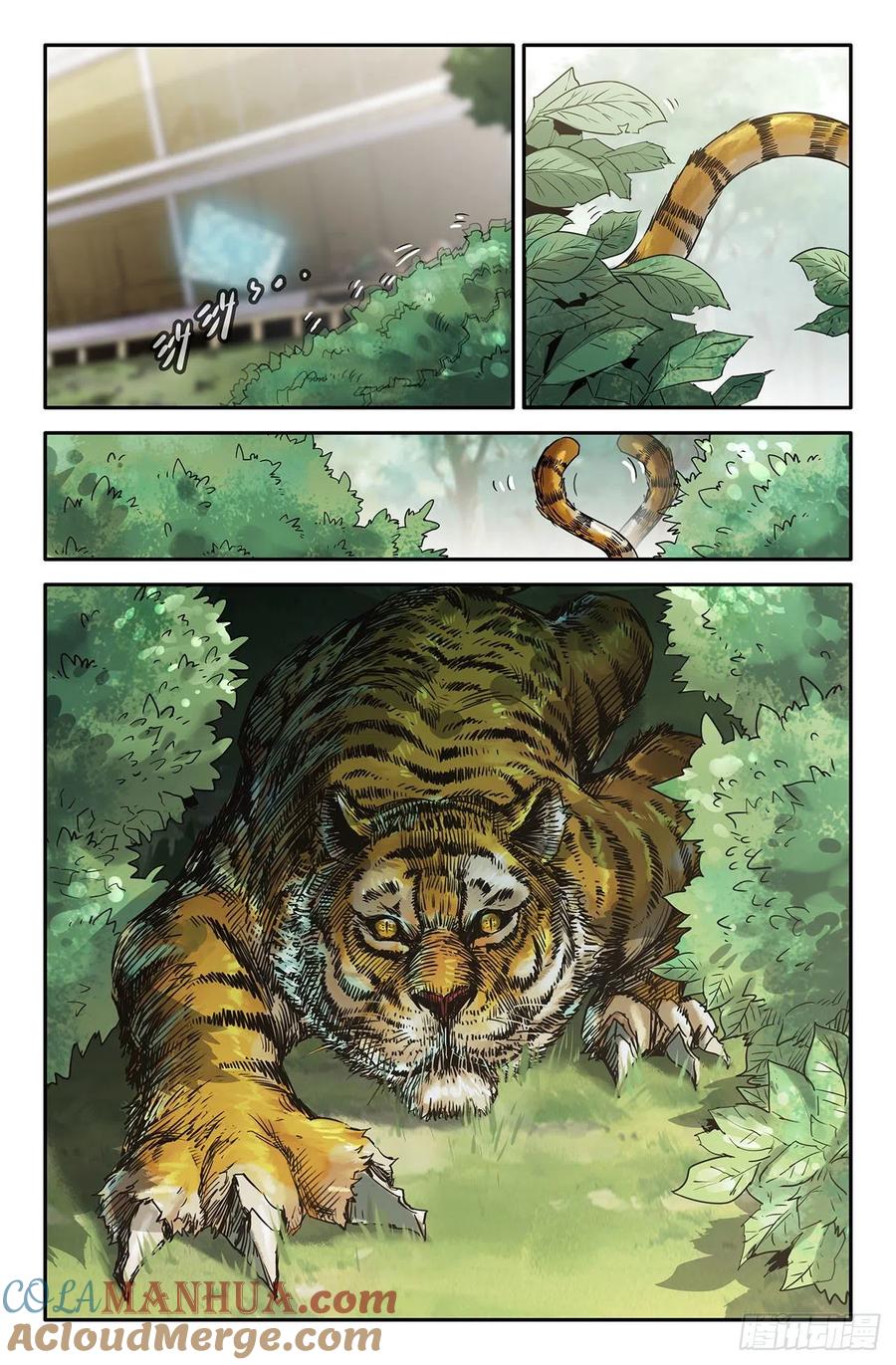 《史上最强》212 威慑力 第3页