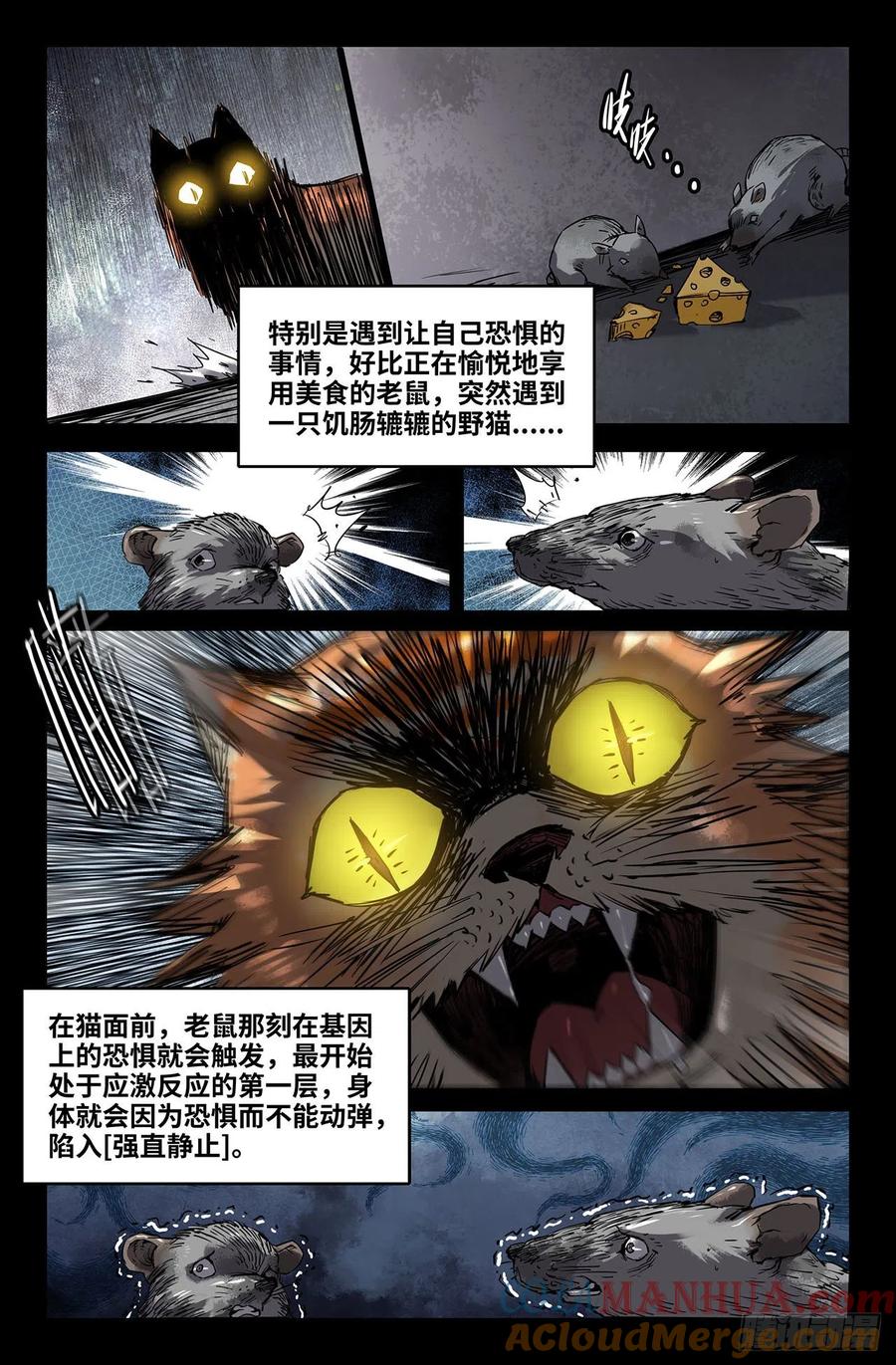《史上最强》227 严正 第3页