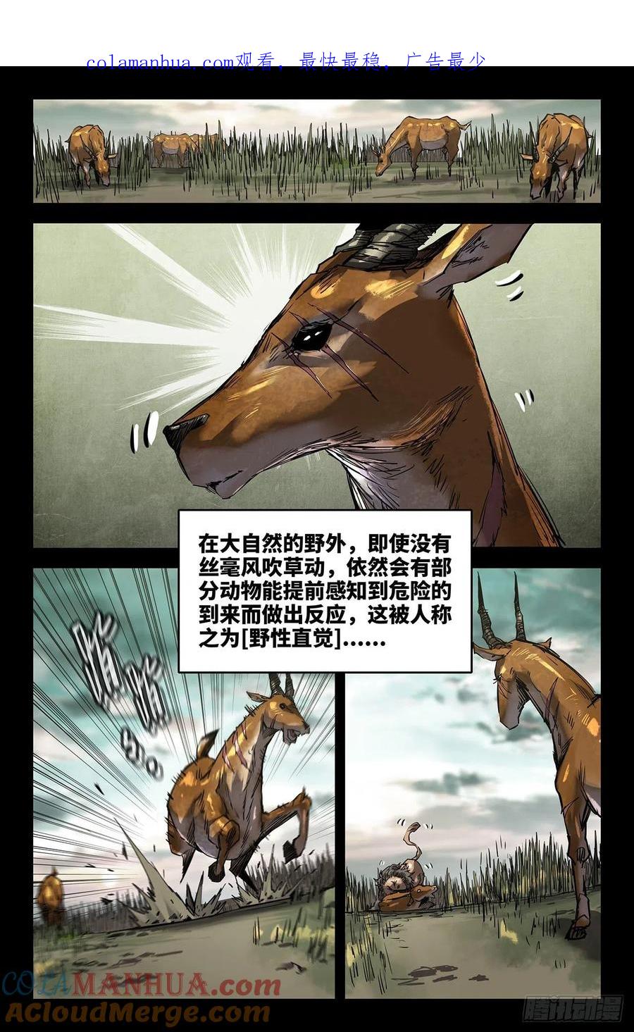 《史上最强》228 心觉 第1页