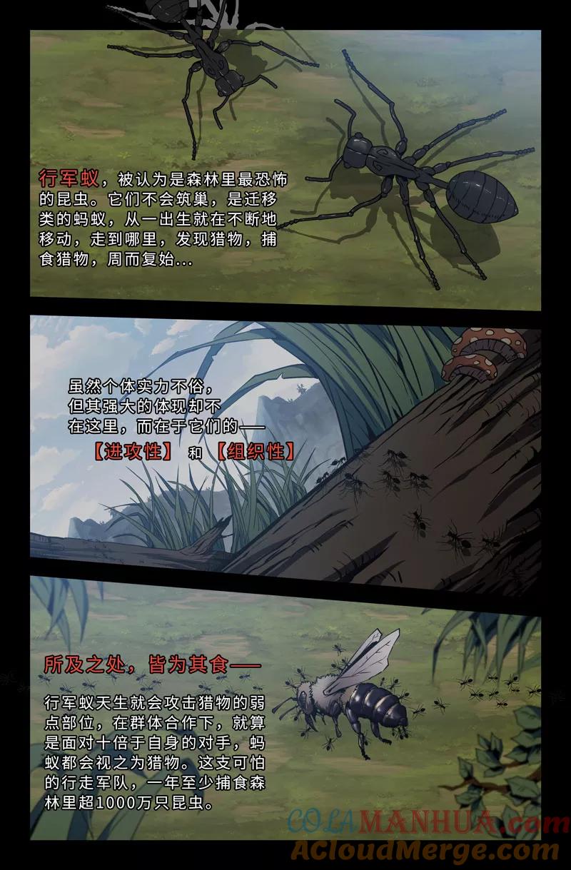 《史上最强》53 第五十三话 第4页