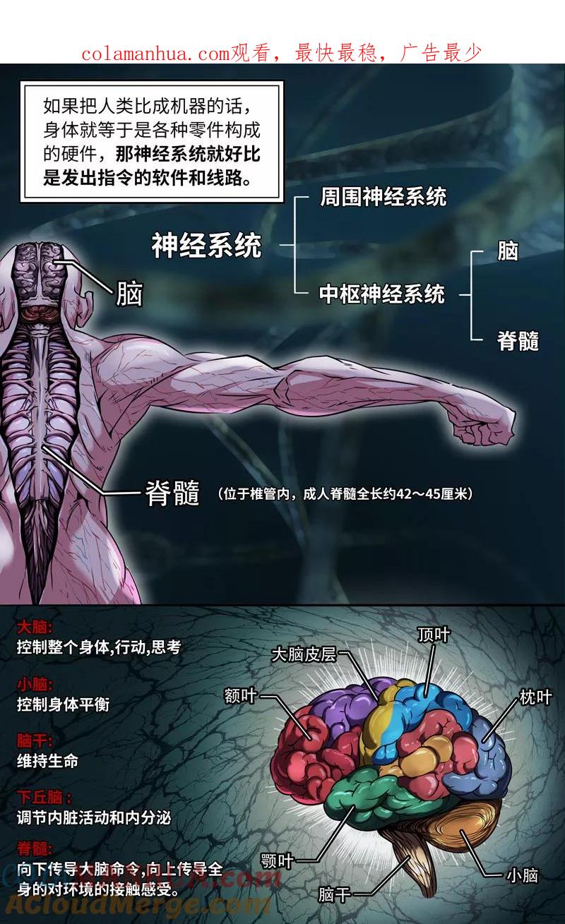 《史上最强》70 第七十话 第1页