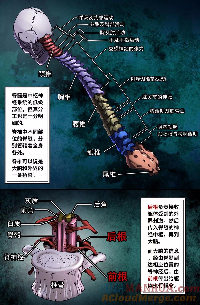 《史上最强》70 第七十话 第2页
