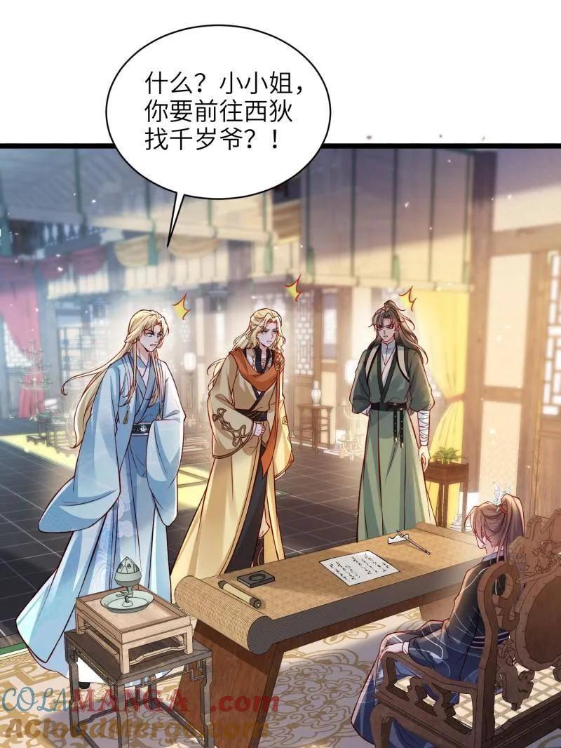 宦妃天下（太监王爷强娶我） 第431话 再见，白珍 第4页