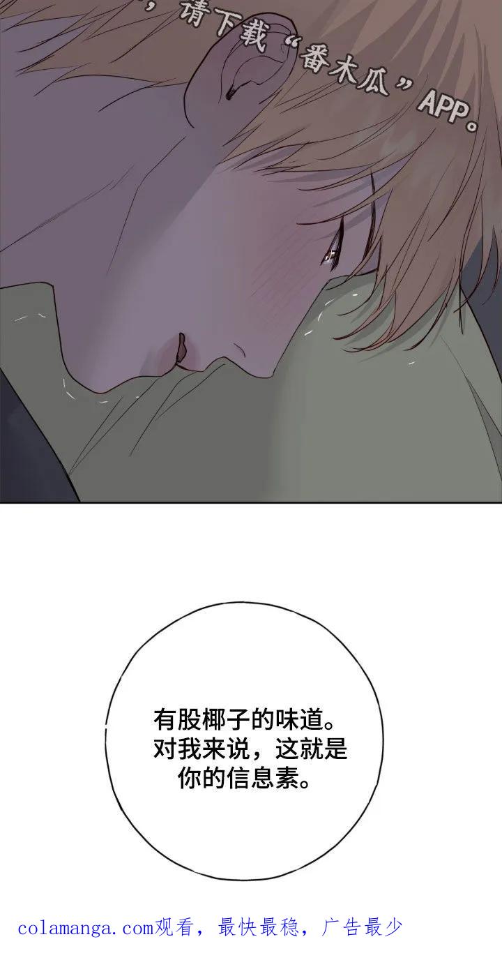 《幻想烛火》第111章：【第二季】好闻的味道 第30页