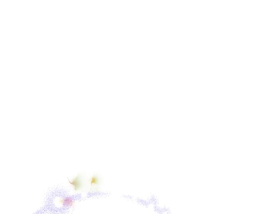 《凤凰血》第25话 耀眼 第71页