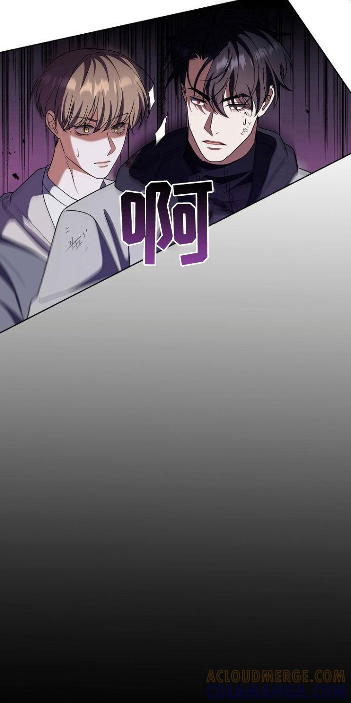 《双重血脉》第41章：拼命 第13页