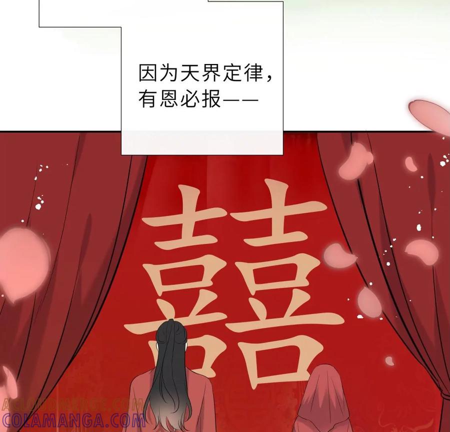 《遇见织女的300天》真假舅老爷 第53页