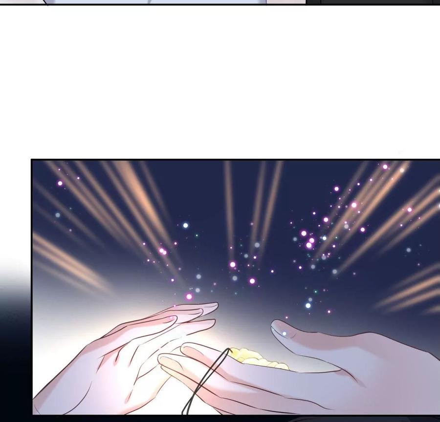 《遇见织女的300天》真假舅老爷 第91页