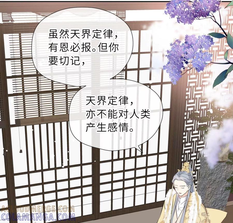 《遇见织女的300天》天帝的爱情 第41页
