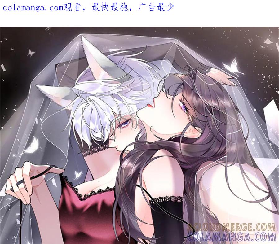 《白天被逃婚晚上被奶凶指挥官求抱抱》99 那就走起！ 第1页
