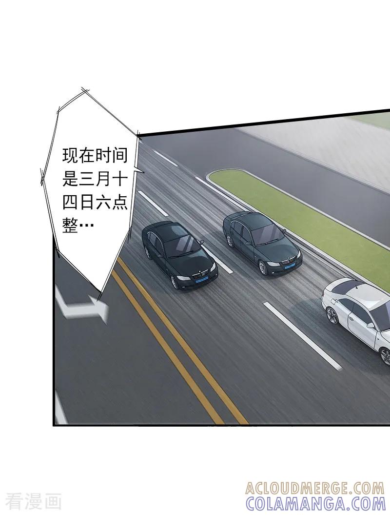 《完美替身：神秘重生》第13话 暗中试探 第29页