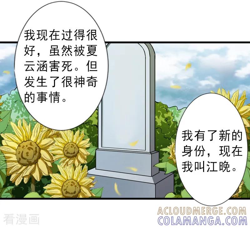 《完美替身：神秘重生》第14话 得知江晚的秘密 第5页