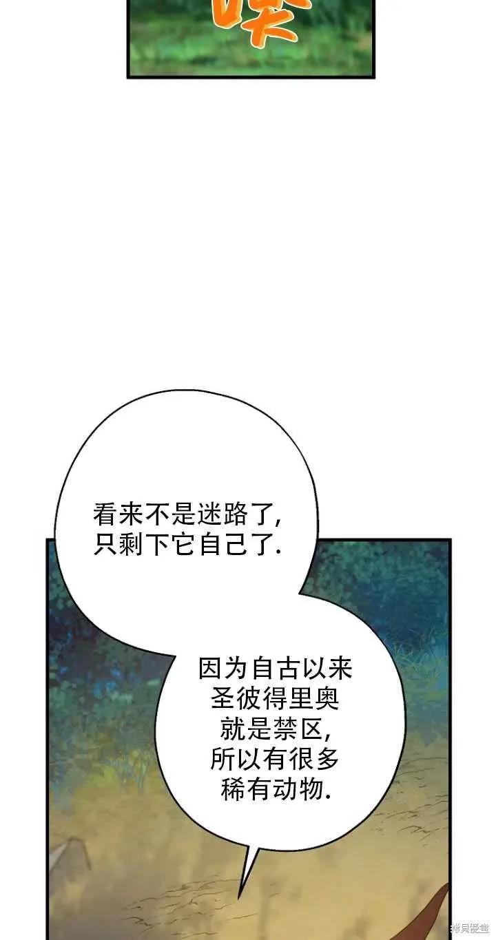 《请张嘴，金汤勺来了》第33话 第20页
