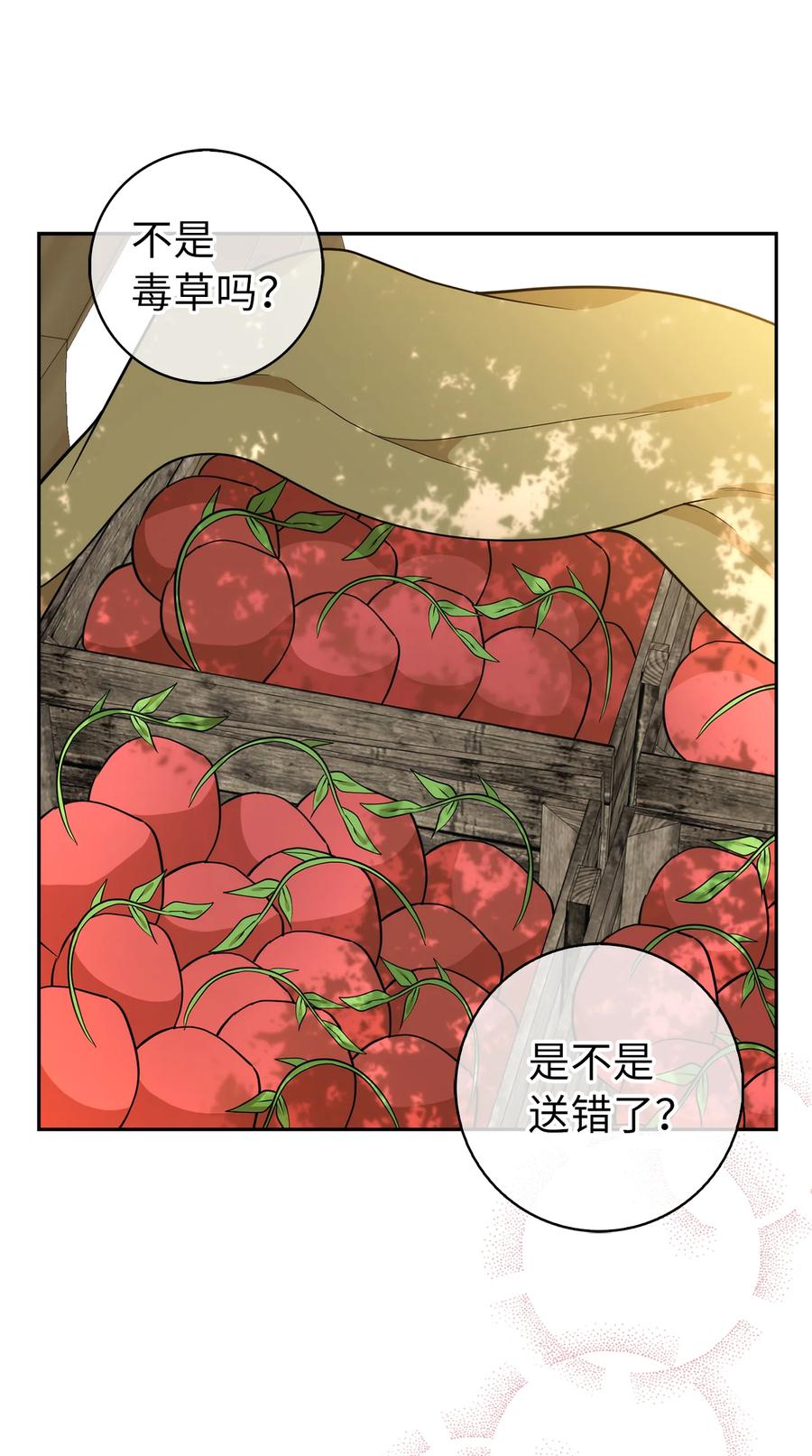 狮子公爵家的松鼠千金 9 小松鼠的锦囊妙计 第45页
