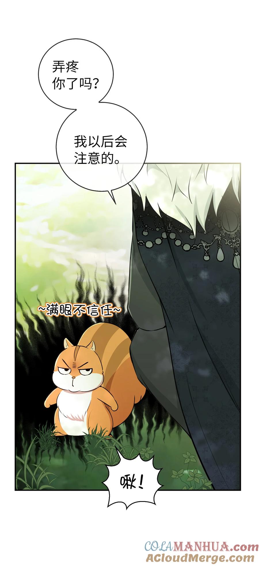 狮子公爵家的松鼠千金 29 小毛球一般的妹妹 第37页
