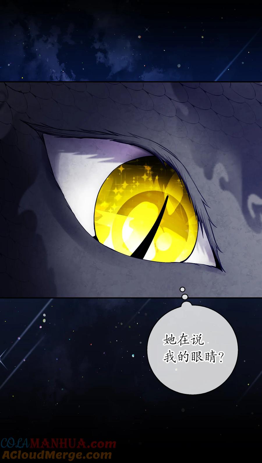狮子公爵家的松鼠千金 31 不受祝福的龙兽人 第40页