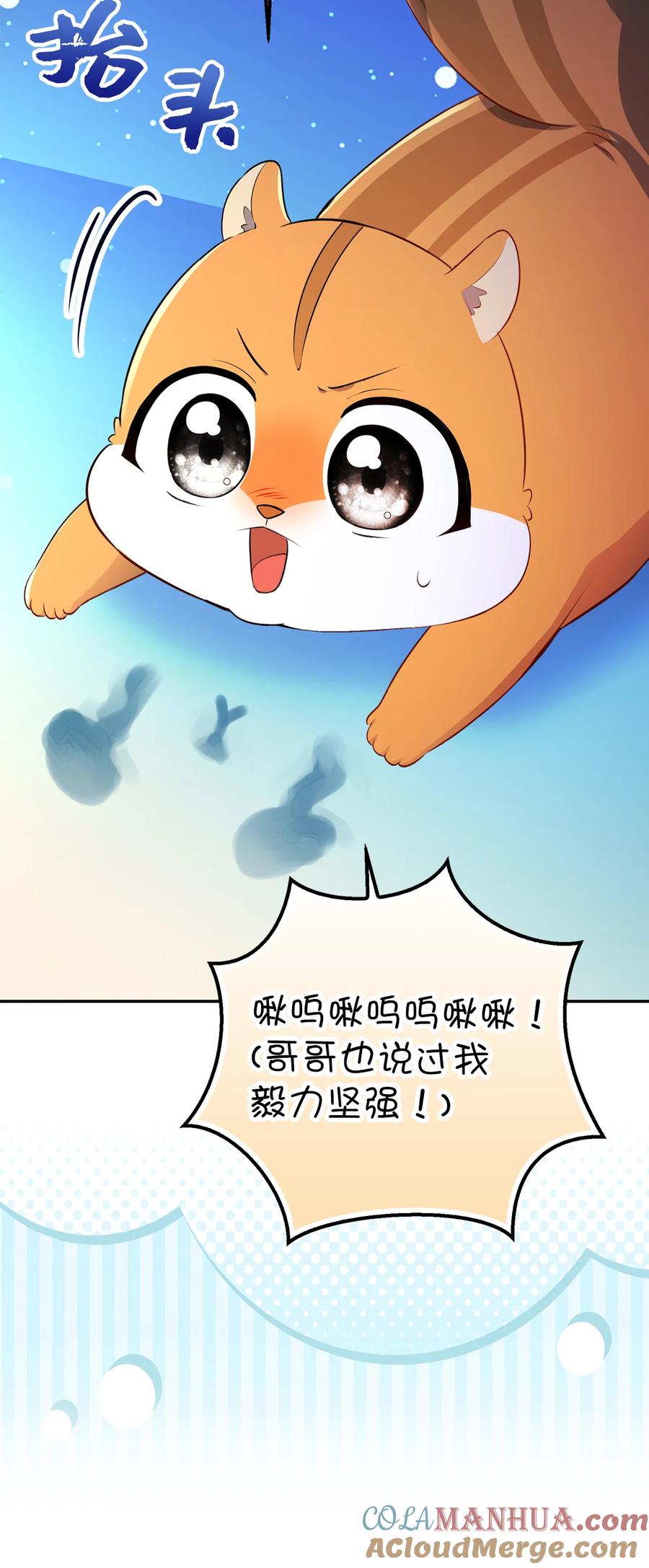 狮子公爵家的松鼠千金 61 帅气的宣示仪式 第49页