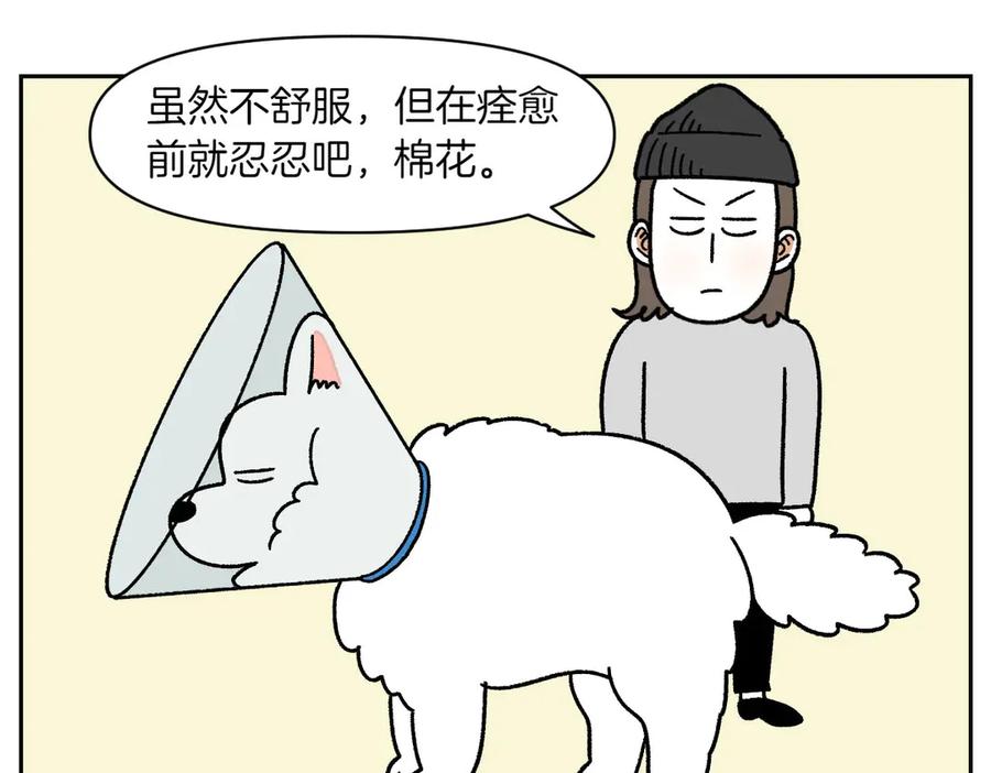 《我的狗子叫棉花》第43话 治疗眼病(2) 第44页