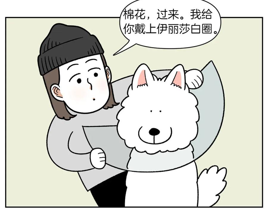《我的狗子叫棉花》第43话 治疗眼病(2) 第41页