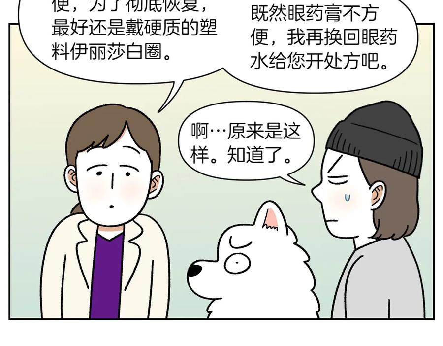 《我的狗子叫棉花》第43话 治疗眼病(2) 第38页