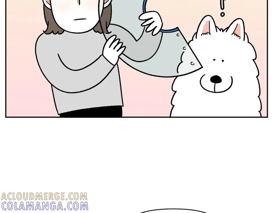 《我的狗子叫棉花》第43话 治疗眼病(2) 第40页