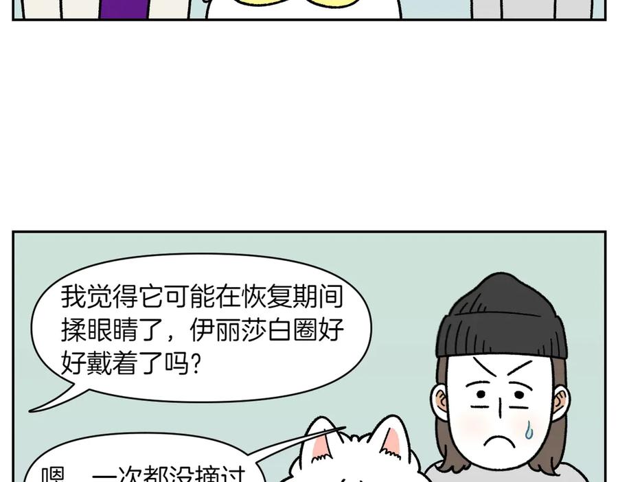 《我的狗子叫棉花》第43话 治疗眼病(2) 第33页
