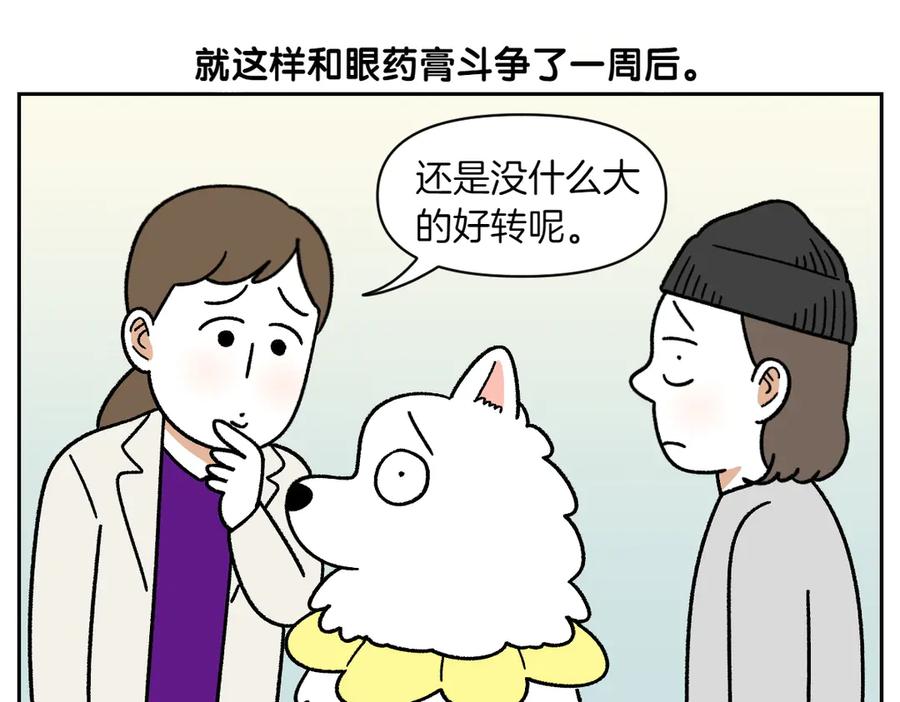 《我的狗子叫棉花》第43话 治疗眼病(2) 第32页