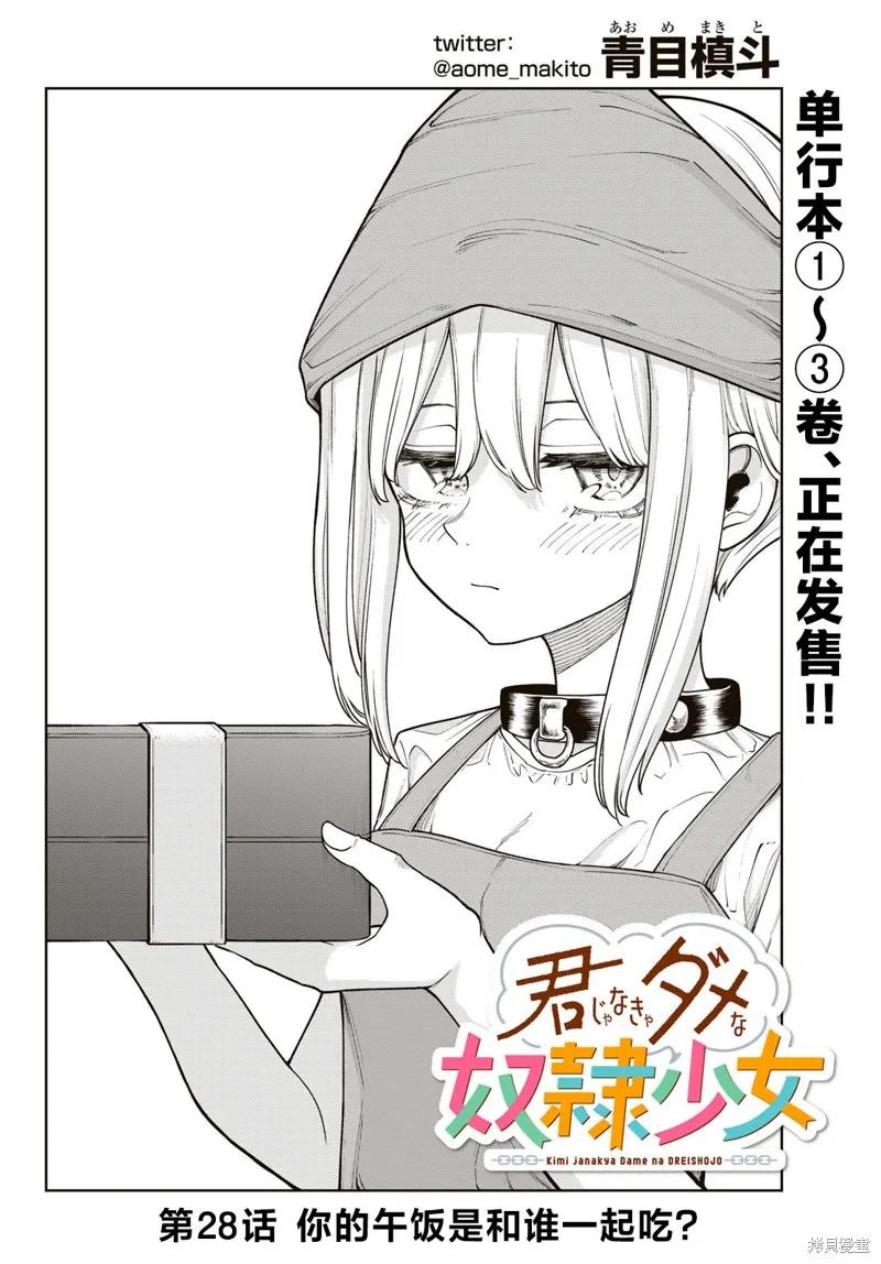 《只属于你的奴隶少女》第28话 第4页