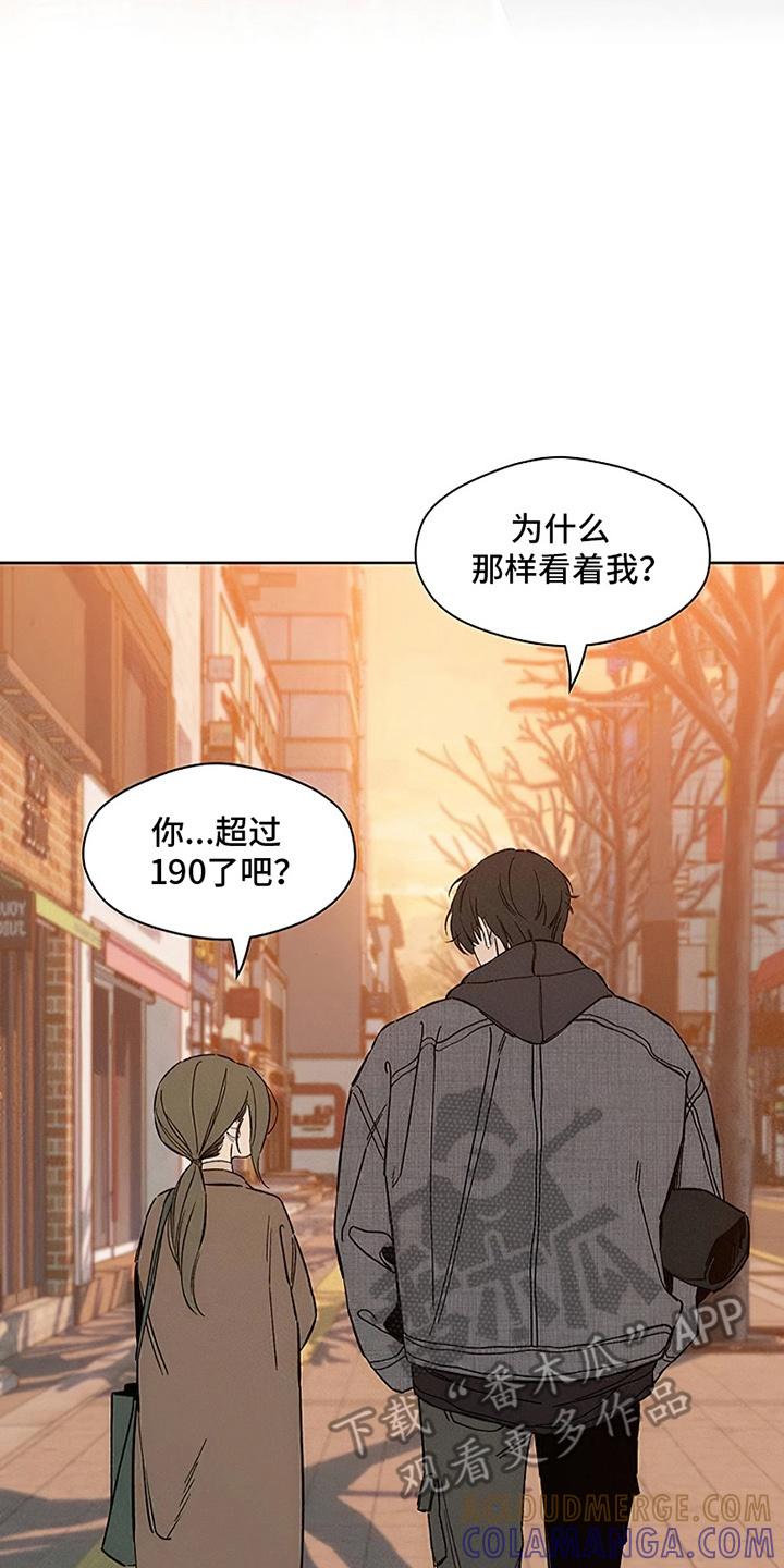 枯萎的花伤心的泪 第25章：想被骂吗 第19页