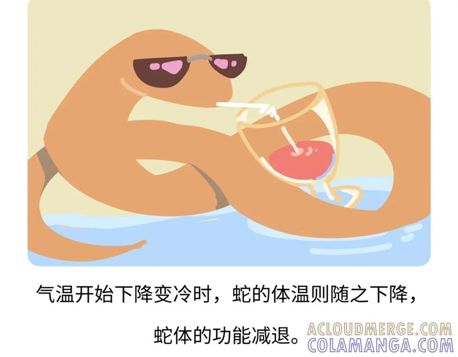 《胖达x胖达》第250话 第27页
