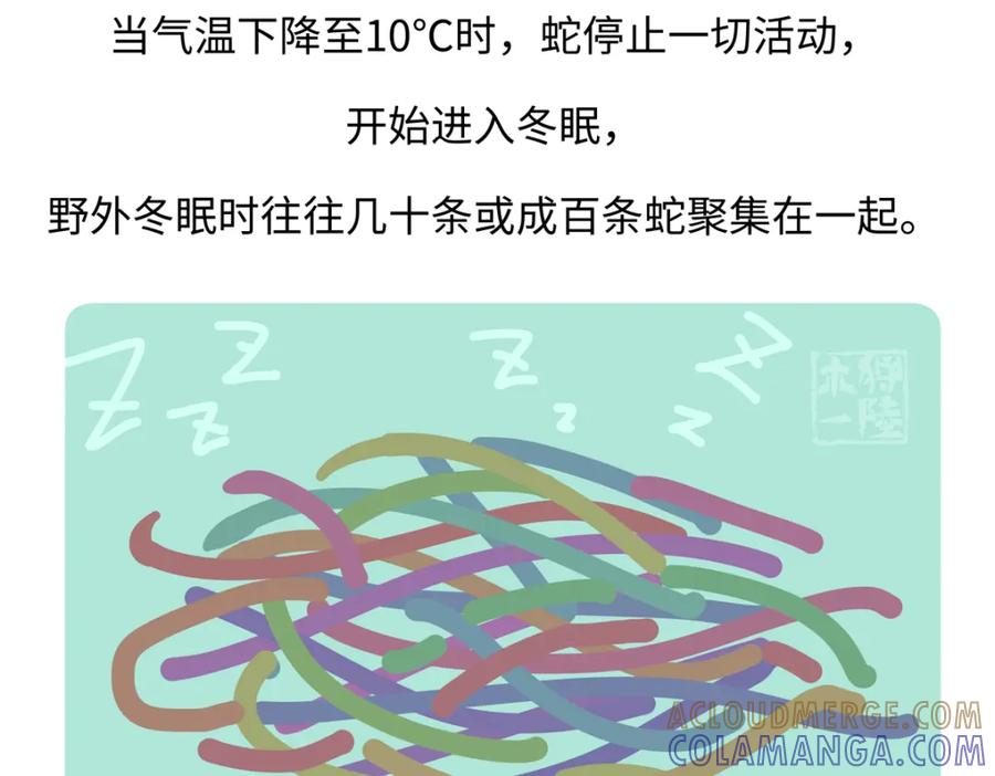 《胖达x胖达》第250话 第29页