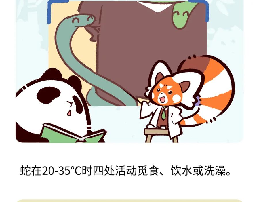 《胖达x胖达》第250话 第26页