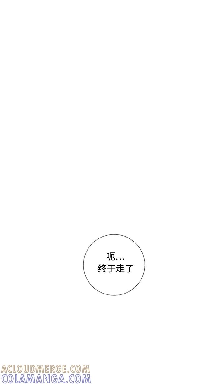 《那年夏天》第四十三章 想说对不起 第13页