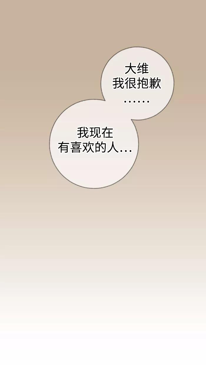 《那年夏天》第五十章 那年夏天 第18页