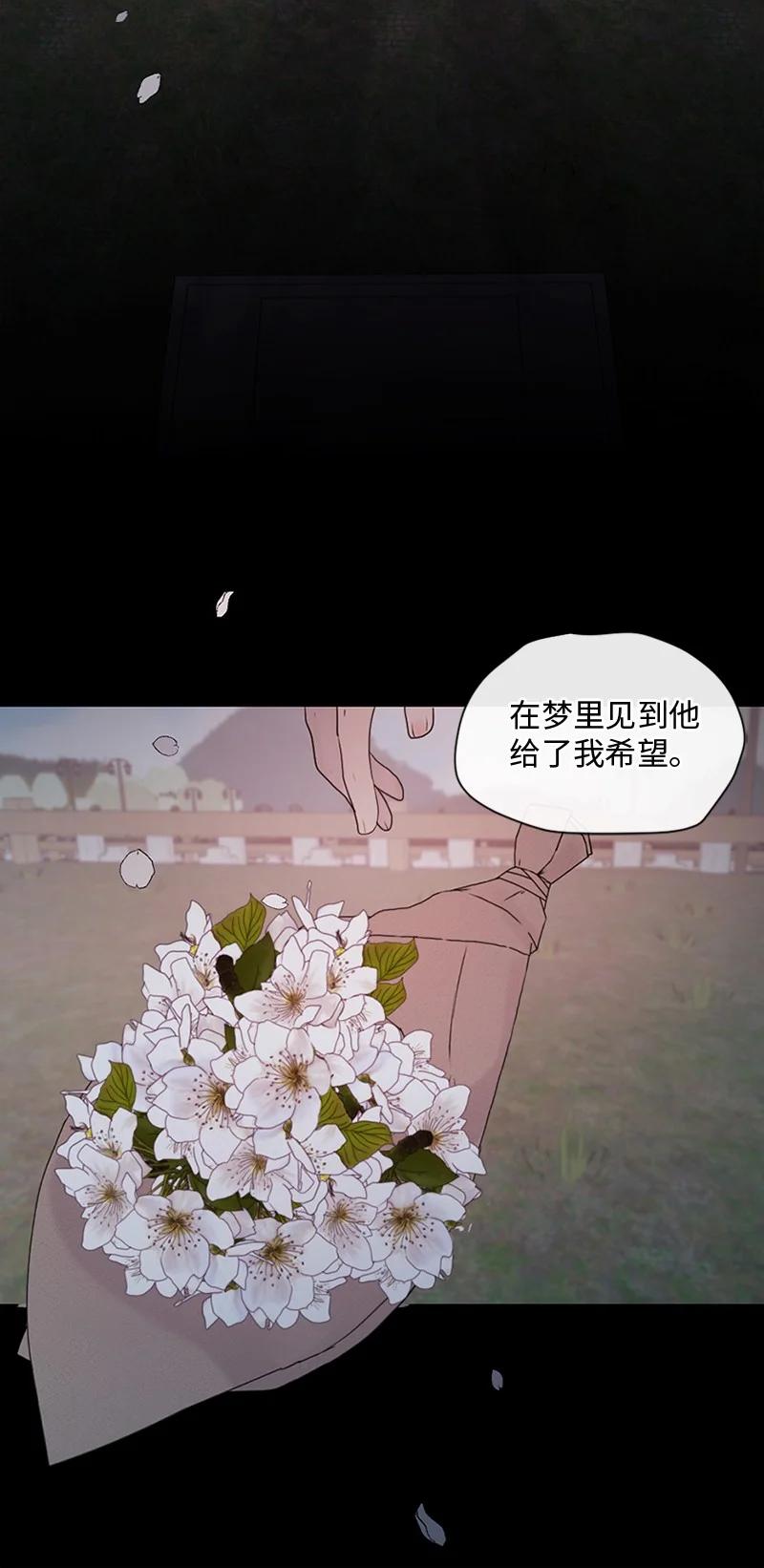 《守护你的梦境》30 我喜欢文斯 第62页