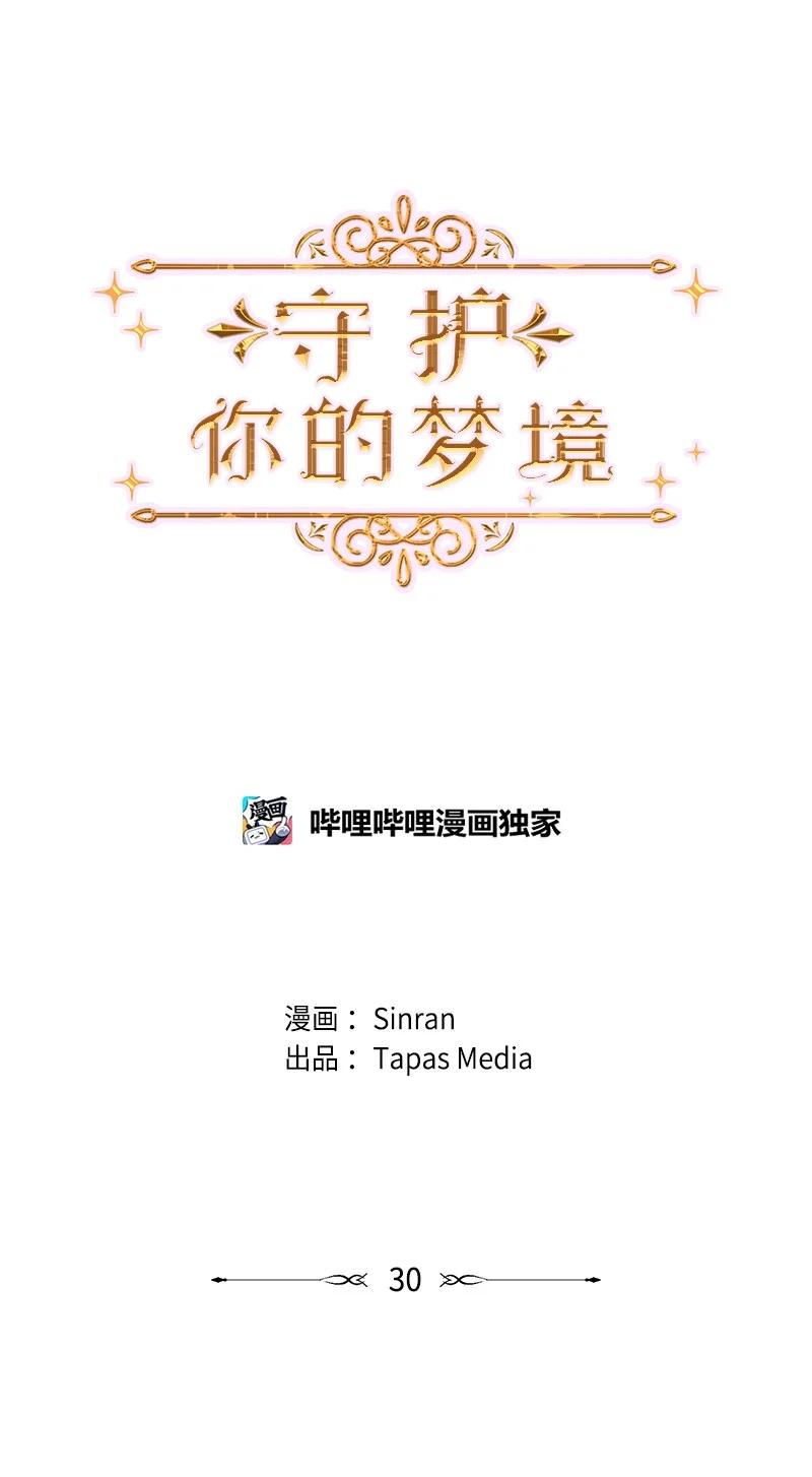 《守护你的梦境》30 我喜欢文斯 第14页