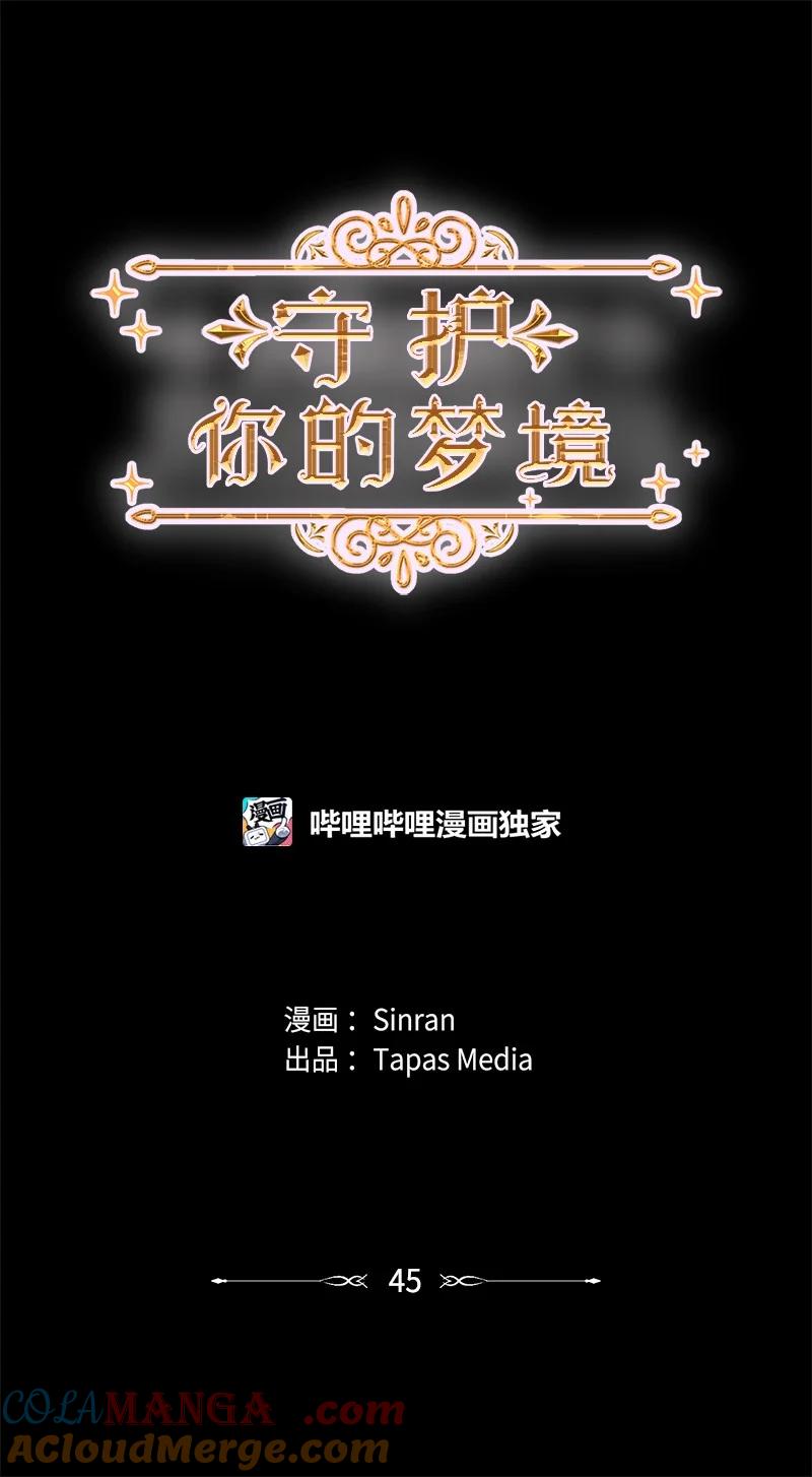 《守护你的梦境》45 居然是你 第16页